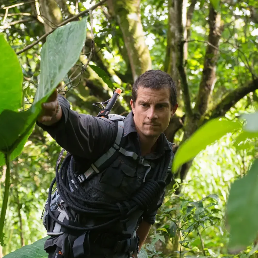 Bear Grylls OBE